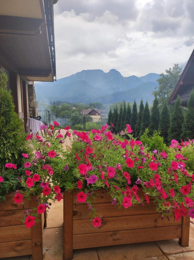 Harnasiowa Izba Ski - Polana Szymoszkowa Ski Resort Zakopane Exteriör bild